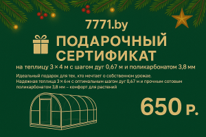 Подарочный сертификат на теплицу 3х4