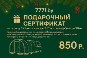 Подарочный сертификат на теплицу 3х6