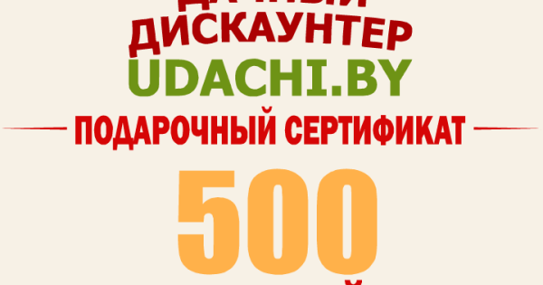 Подарочный сертификат на 500 рублей