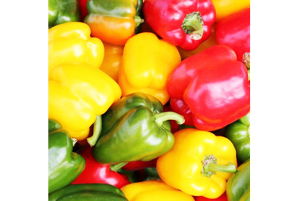 Сбор и хранение урожая перцев