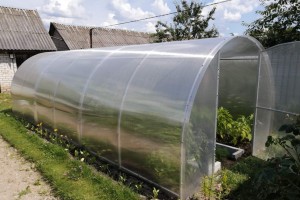 Теплица ComfortProm Оптима Цельная Дуга 20x20 ширина 2,4м длина 10м БЕСПЛАТНАЯ ДОСТАВКА