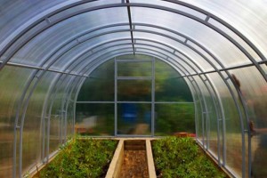 Теплица ComfortProm ЦЕЛЬНАЯ ДВОЙНАЯ дуга ширина 3м длина 10м БЕСПЛАТНАЯ ДОСТАВКА