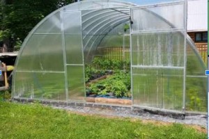 Теплица ComfortProm Цельная Дуга двухстворчатая ширина 3,5м длина 10м БЕСПЛАТНАЯ ДОСТАВКА