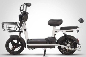 Электроскутер Shtenli  Model 3 Standard Range Бесплатная доставка